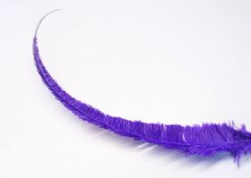Long Cut Purple Ostrich Feather